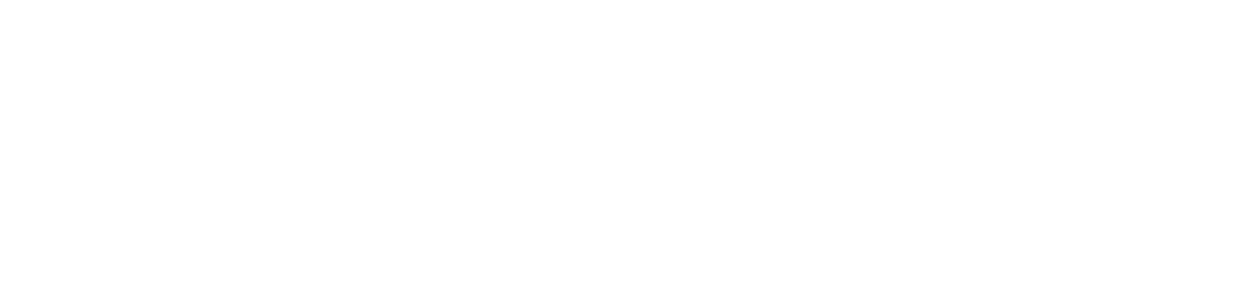 Logo Formule Mazda