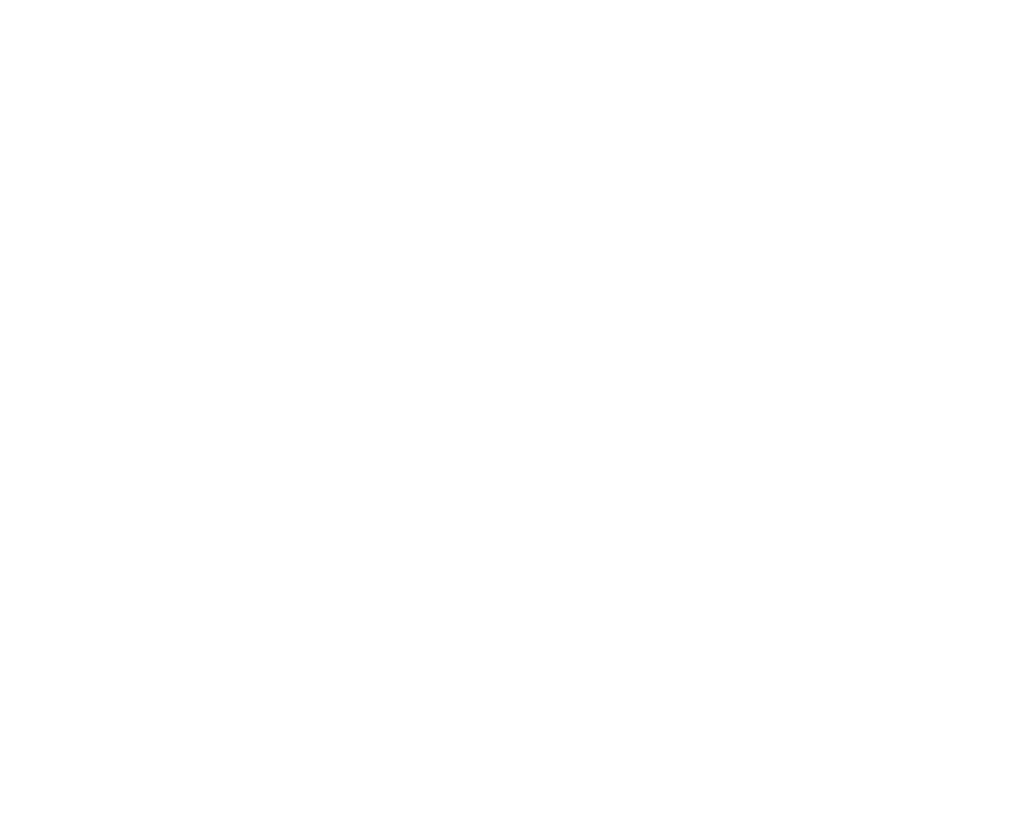 Logo les Cliniques ST